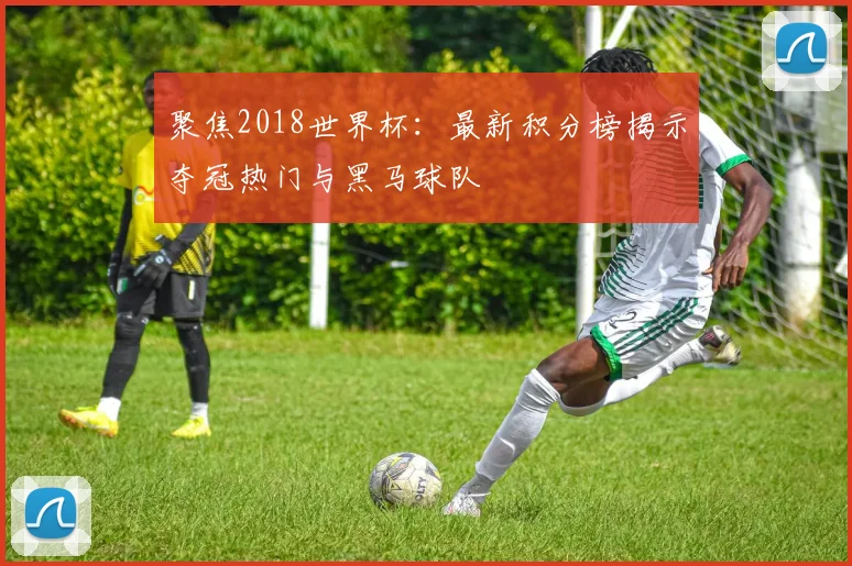 聚焦2018世界杯:最新积分榜揭示夺冠热门与黑马球队