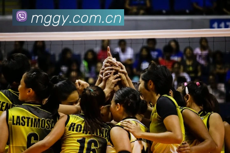 App Interface Preview